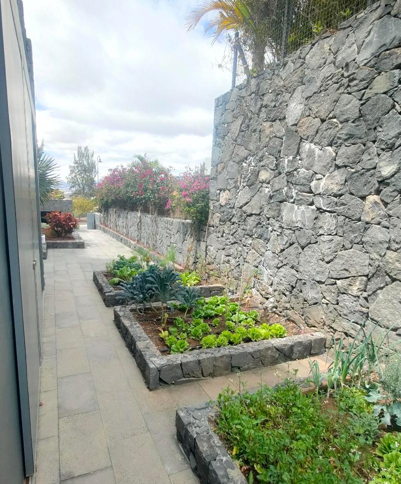 Trabajo de jardinería en Tenerife Sur – OMG Garden