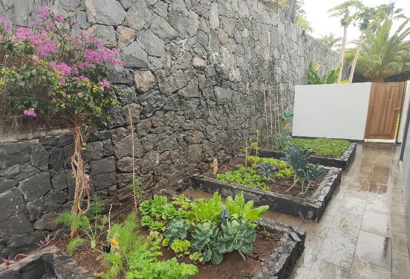 Proyecto de jardinería exterior en Tenerife Sur – OMG Garden