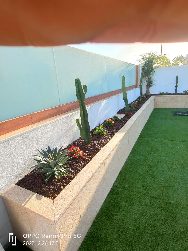 Paisajismo y jardinería en Los Cristianos, Tenerife