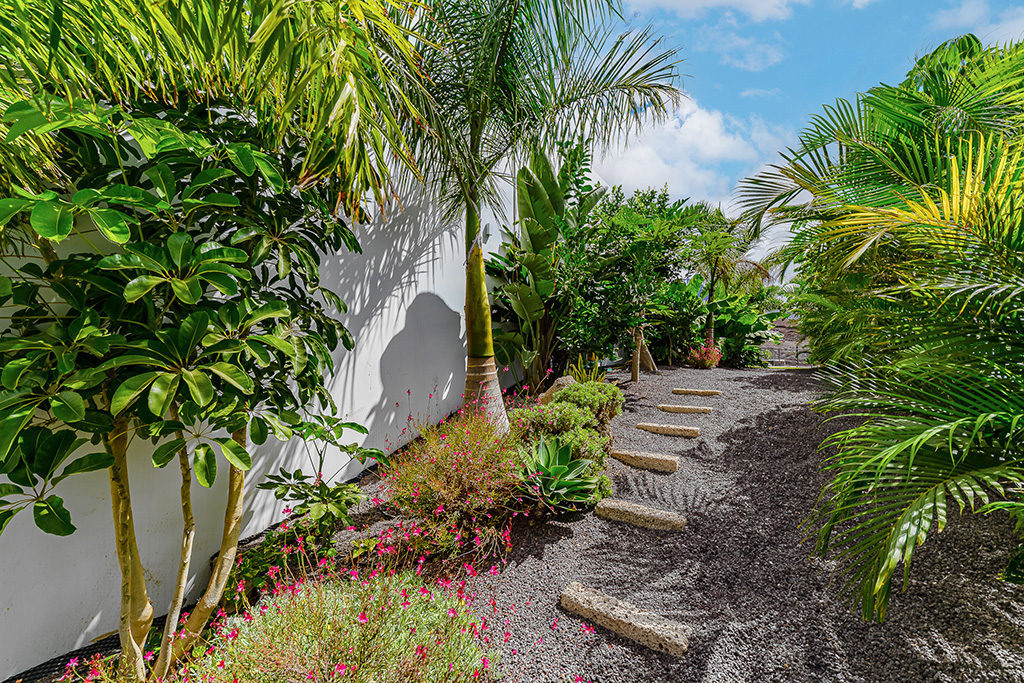 Mantenimiento exterior y jardinería en San Miguel de Abona, Tenerife